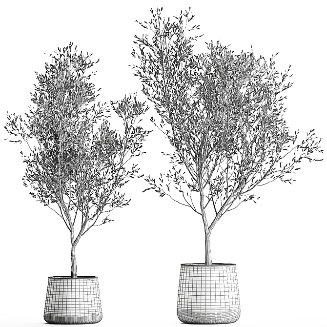 Exotic Plant Collection: Decorative Trees & Indoor Plants 3D model image 6