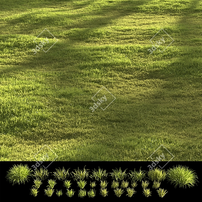 Garden Grass Variety Pack: Scattered Patterns & 3D Models 3D model image 5