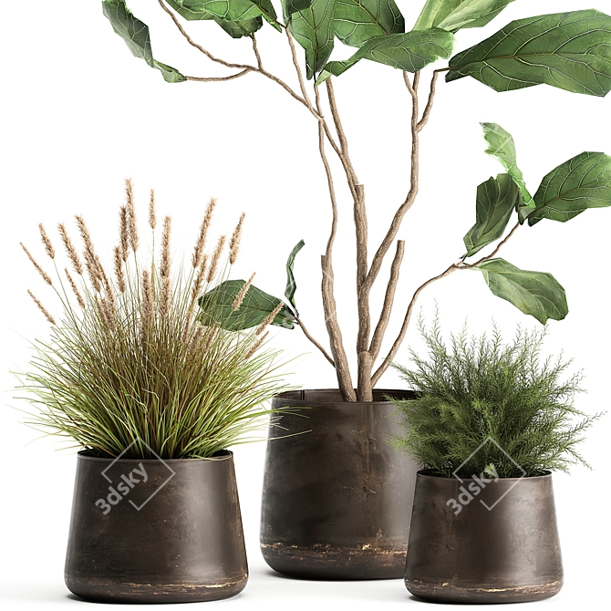 Tropical Plant Collection: Stylish Iron Pots 3D model image 2