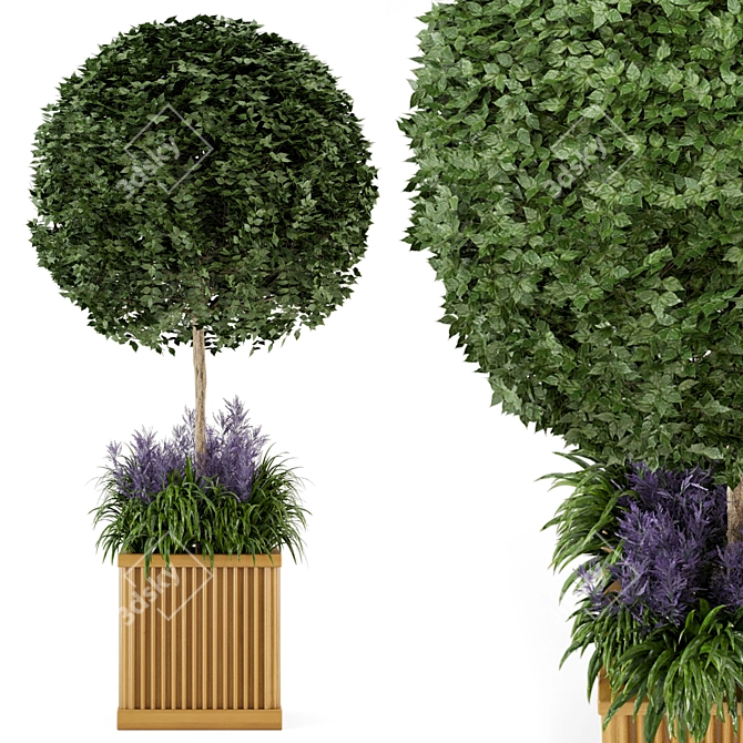 Wooden Pot Bush and Tree Set - Outdoor Plants 3D model image 2