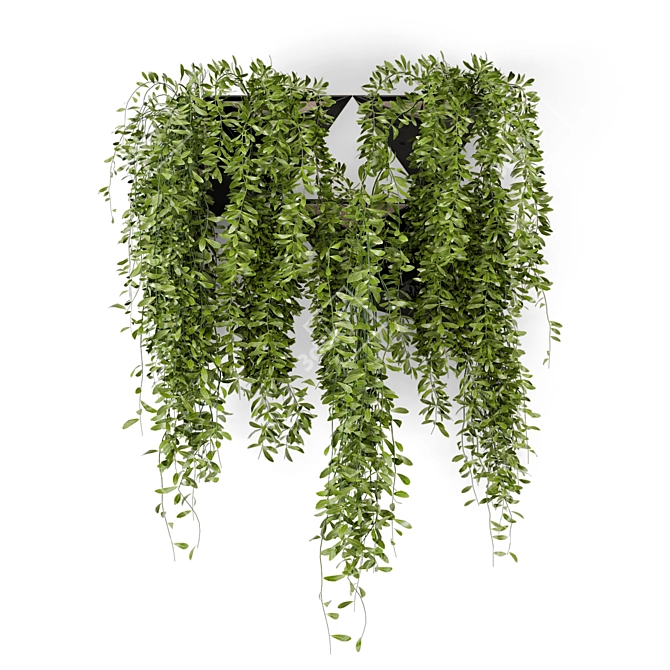 Concrete Pot Hanging Plants - Set of 130 3D model image 3