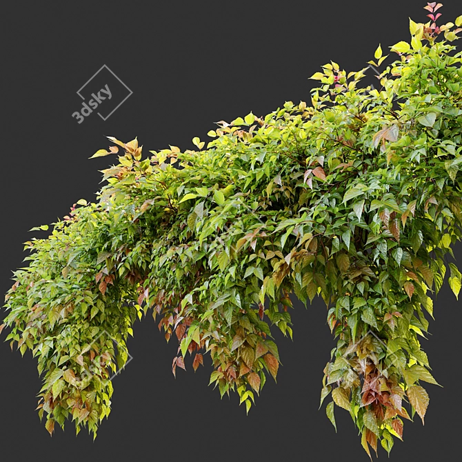 3m Hanging Plant: Realistic, Versatile, Vray & Corona materials 3D model image 2