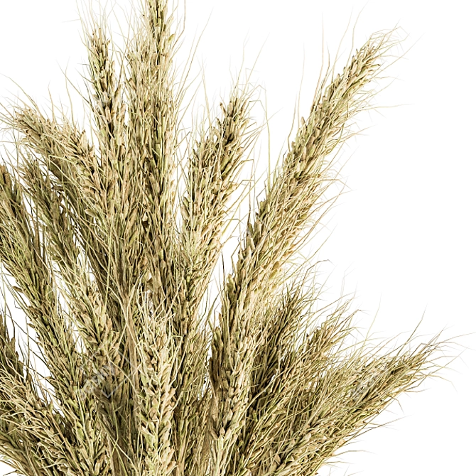 Decorative Dried Wheat Bundle 3D model image 2