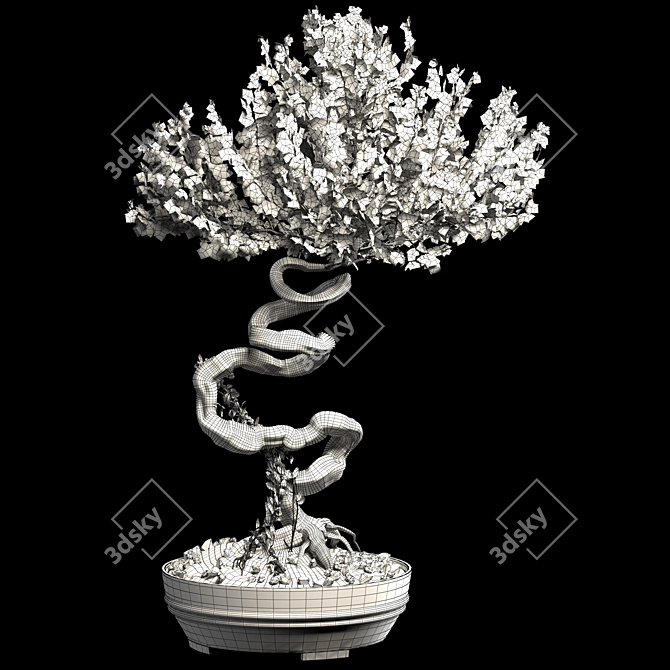 Serenity Bonsai Tree 3D model image 4