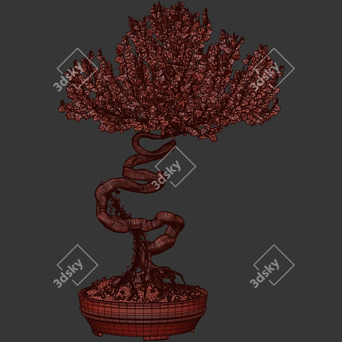 Serenity Bonsai Tree 3D model image 5