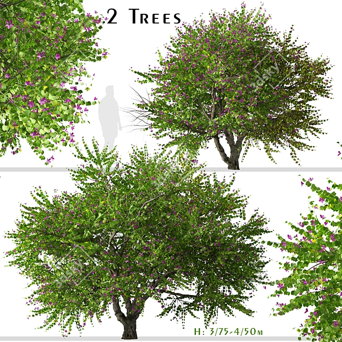 Exquisite Pair of Orchid Tree 3D model image 1