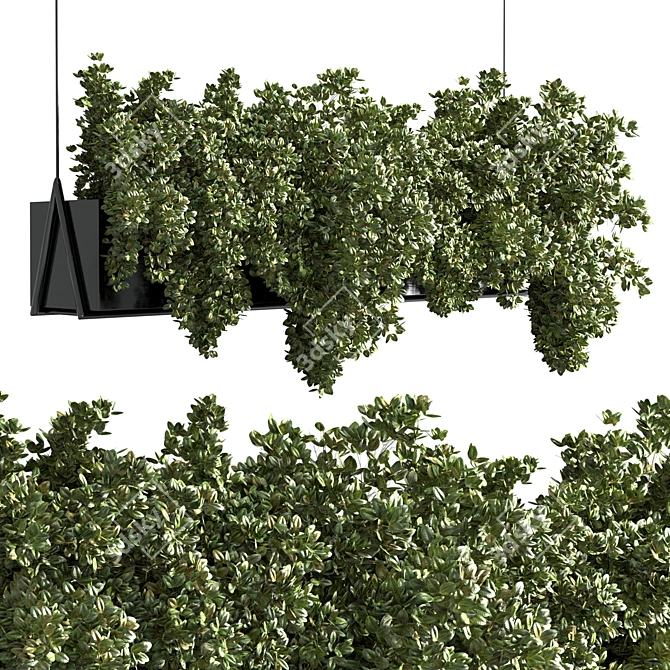 Metal Bax Vase: Collection of Indoor Hanging Plants 3D model image 1