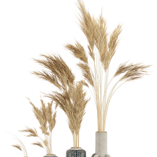 Pampas Dried Plantset in Handmade Vase 3D model image 5