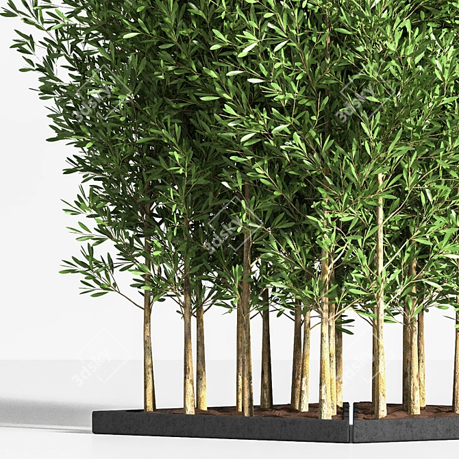 Elegant 6-Part Indoor Plant Stand 3D model image 2