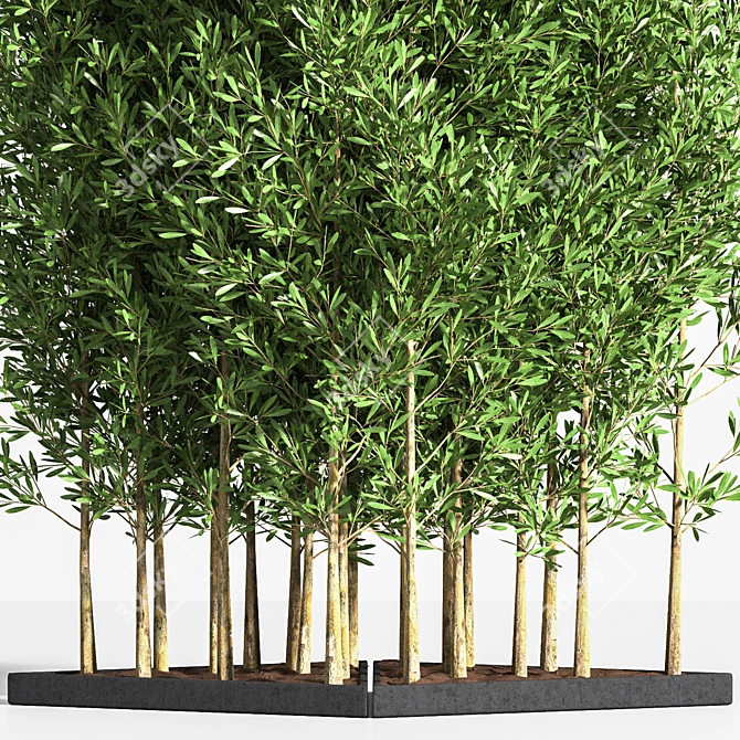 Elegant 6-Part Indoor Plant Stand 3D model image 4