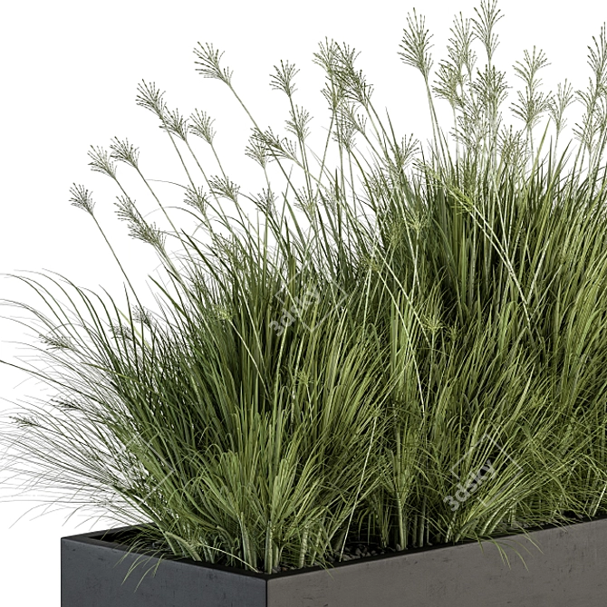 Indian Grass Plant Box Set 3D model image 4