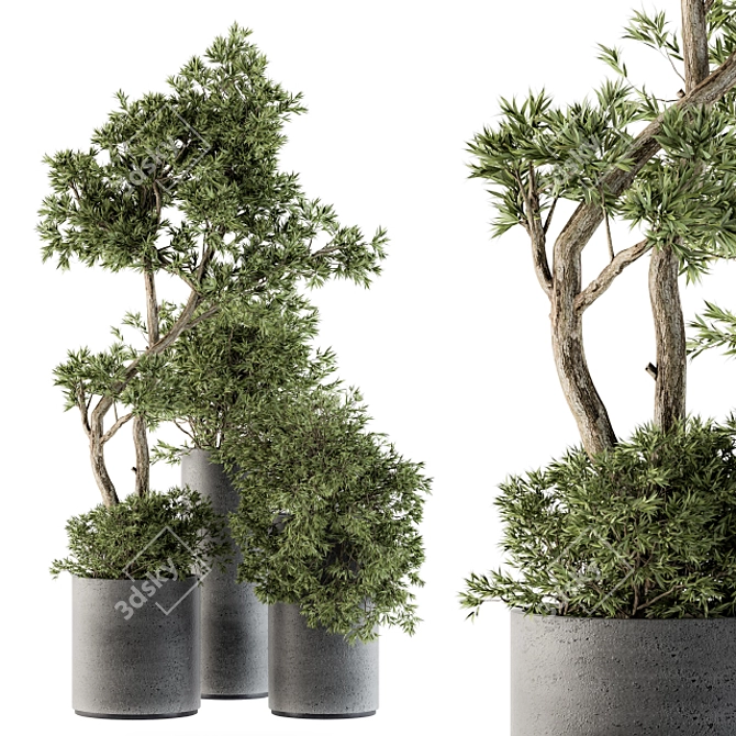 Green Oasis: Outdoor Plant Set 3D model image 1