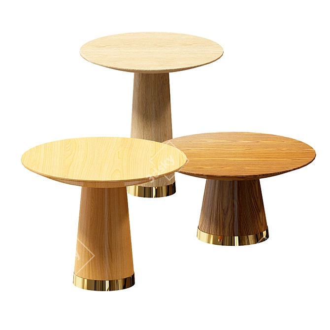 Walnut Baobab Coffee Table - Modern and Solid 3D model image 3