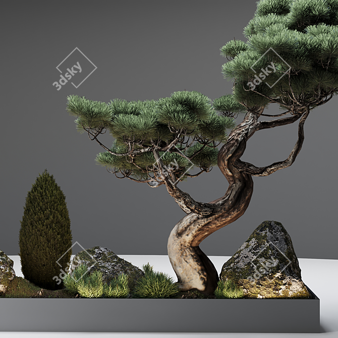 Japanese Pine Decor: 4000mm Length x 1000mm Width 3D model image 5