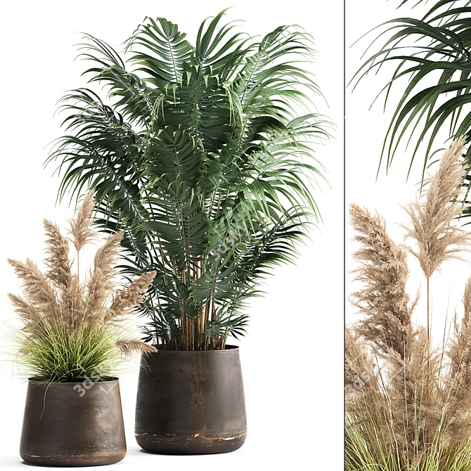 Tropical Plant Collection in Artizan Iron Pots 3D model image 1