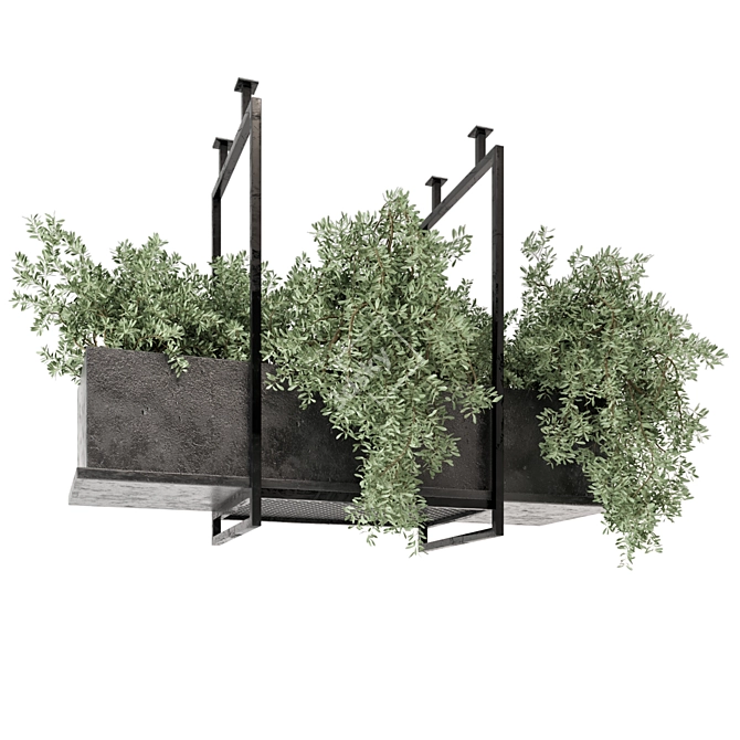 Metal Box Hanging Plants Set 3D model image 3