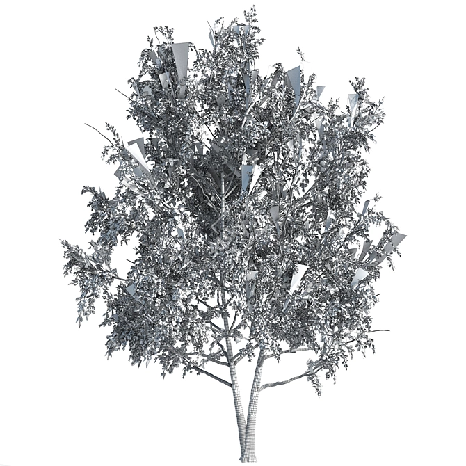 Title: Red Oak Tree - Natural Beauty 3D model image 4