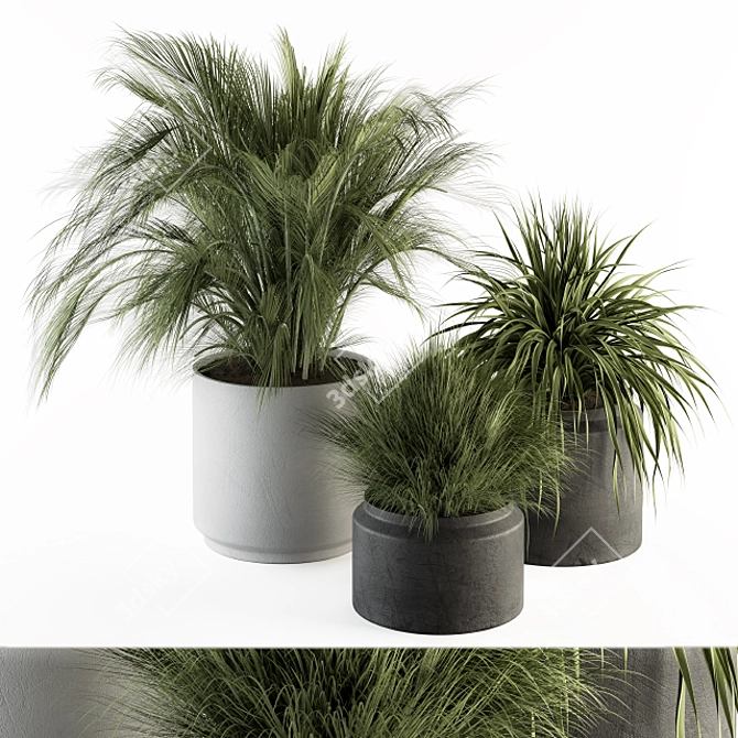 Fresh Greenery: Indoor Plant Set 3D model image 2