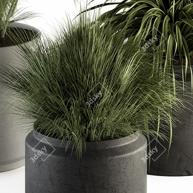 Fresh Greenery: Indoor Plant Set 3D model image 3