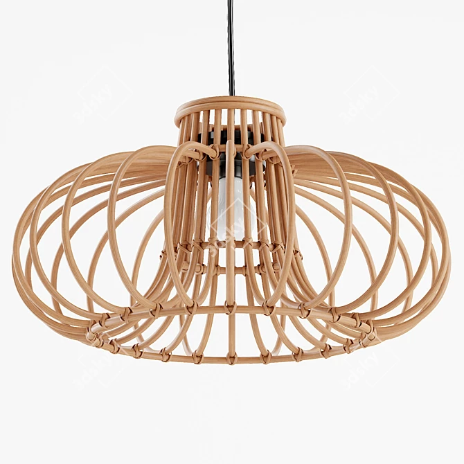 Boho Rattan Pendant Light 3D model image 1