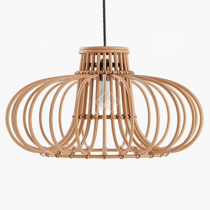 Boho Rattan Pendant Light 3D model image 2