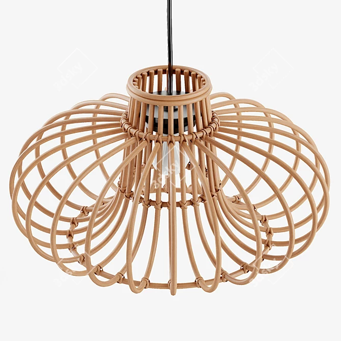 Boho Rattan Pendant Light 3D model image 3