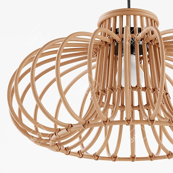 Boho Rattan Pendant Light 3D model image 5