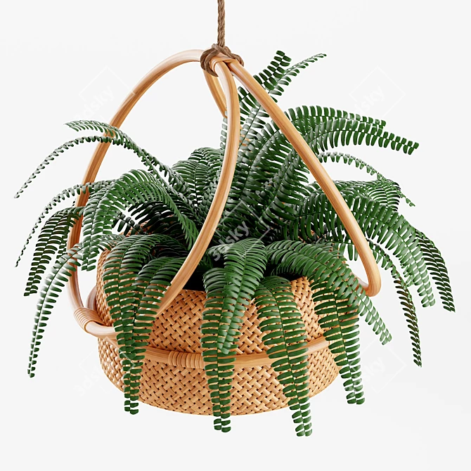 Natural Rattan Hanging Planter 3D model image 1