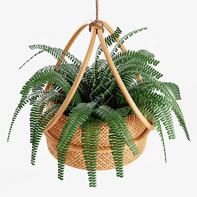 Natural Rattan Hanging Planter 3D model image 5