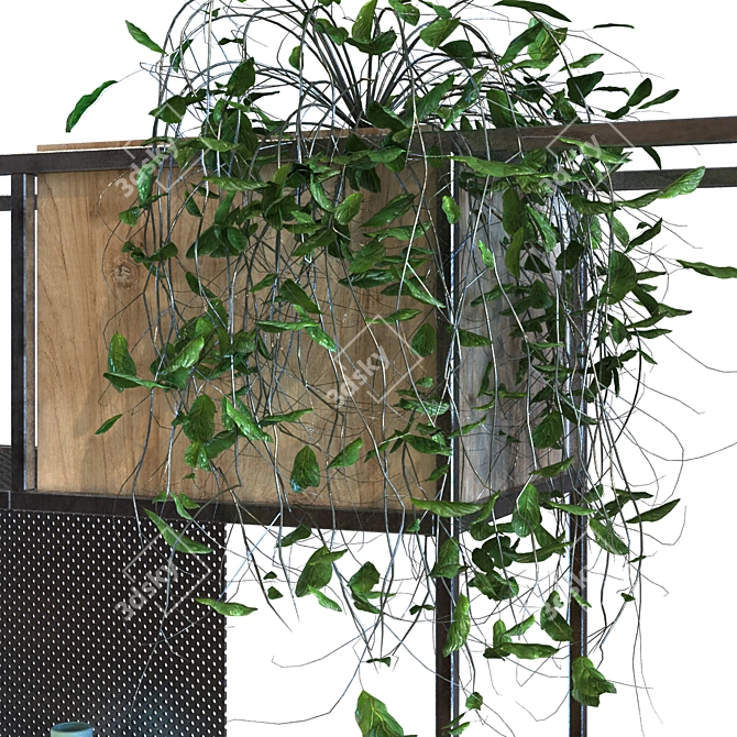 Elegant Floral Wall Decor Set 3D model image 2