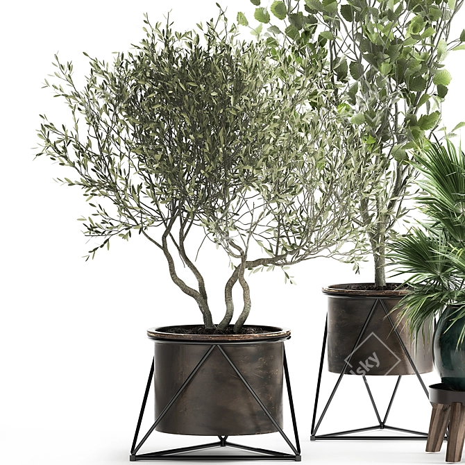 Exotic Metal Pot Plant Collection 3D model image 4