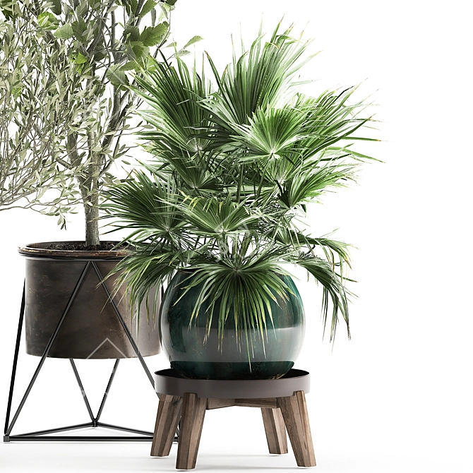 Exotic Metal Pot Plant Collection 3D model image 5