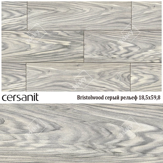 Bristolwood Gray Relief - Elegant Ceramic Tiles 3D model image 1