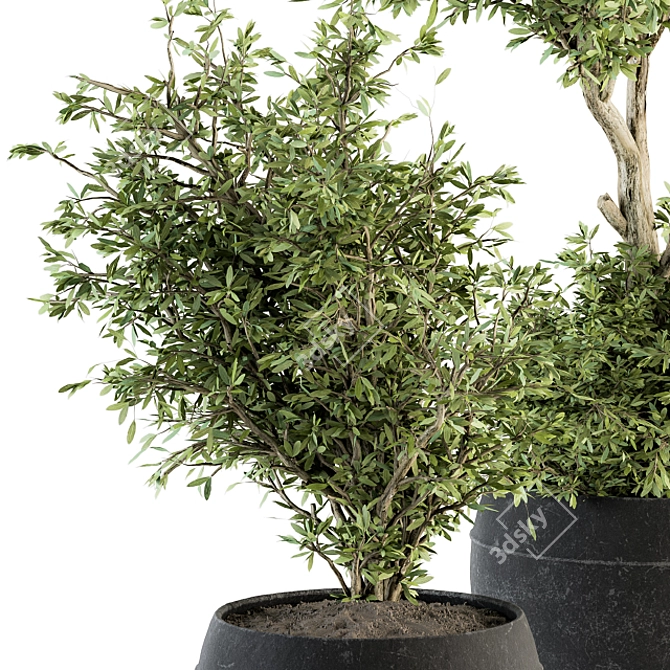 Botanical Bliss: Indoor Plant Set 206 3D model image 3
