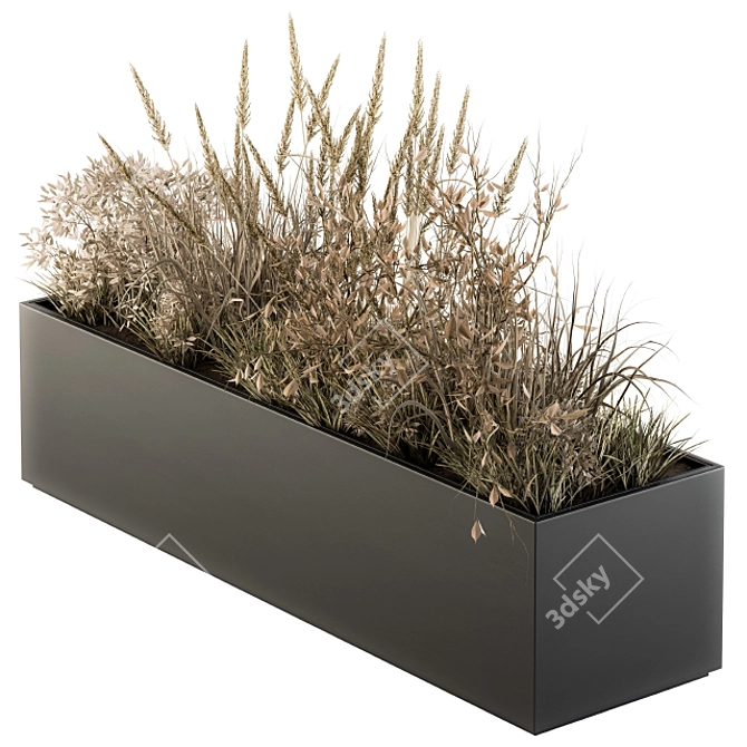 Natural Beauty: Outdoor Dried Plant Set 3D model image 1