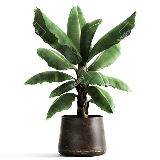 Tropical Oasis in Reclaimed Iron Pot 3D model image 1