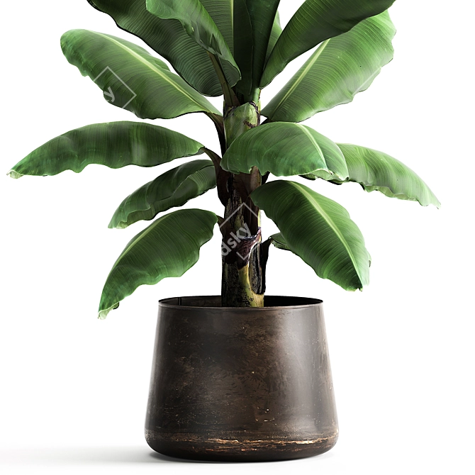 Tropical Oasis in Reclaimed Iron Pot 3D model image 2