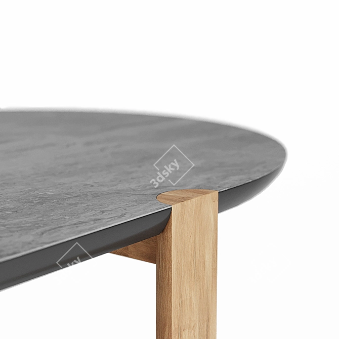 Sleek Miniforms Ovo Table 3D model image 3