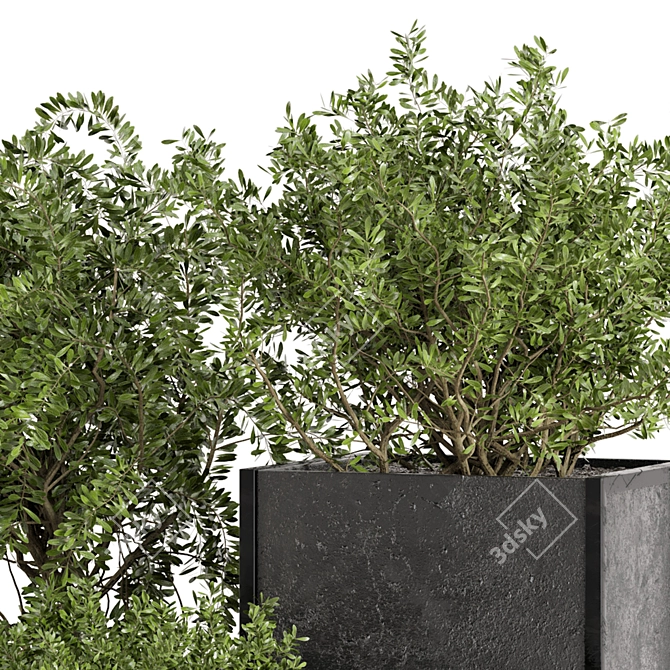 Rustic Outdoor Plant Box Set 3D model image 6