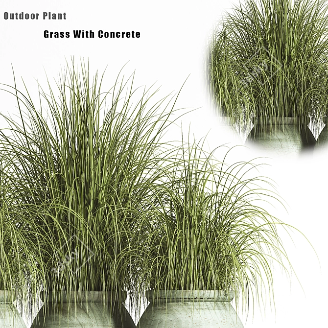 2015 Outdoor Plant Set - Premium Quality 3D model image 2