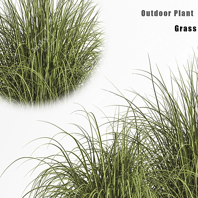 2015 Outdoor Plant Set - Premium Quality 3D model image 6