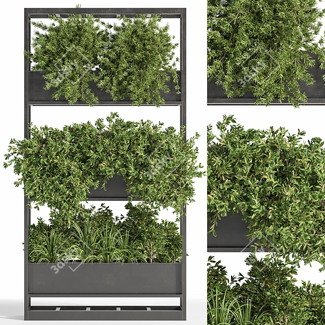 24-Piece Indoor Plant Set: Beautiful & Realistic. 3D model image 2