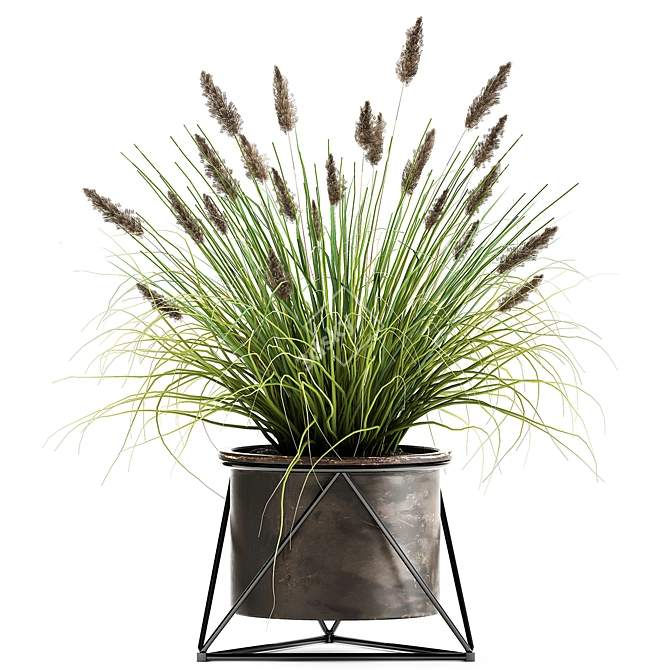 Exotic Plant Collection: Outdoor & Indoor Greenery 3D model image 3