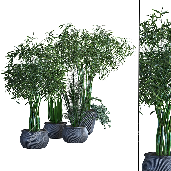 Lush Greenery Collection: Vol 02 3D model image 1