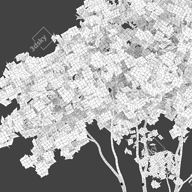 Shadbush Serviceberry Trees - Blooming Delight 3D model image 5