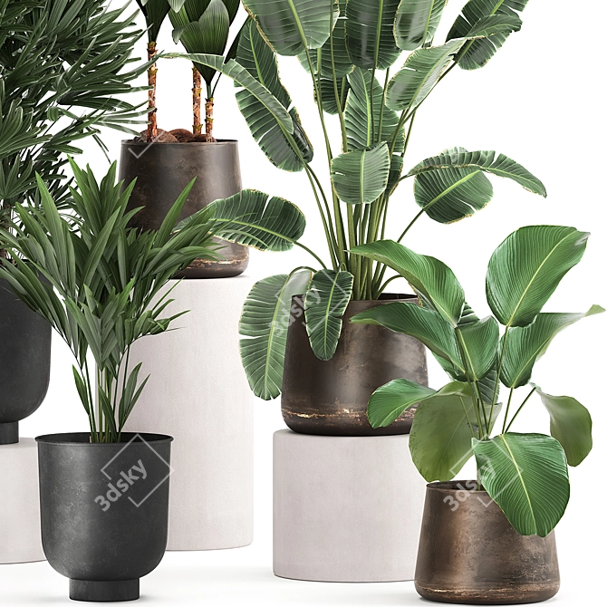 Exotic Plant Collection: Metal Pots & Decorative Vases 3D model image 3