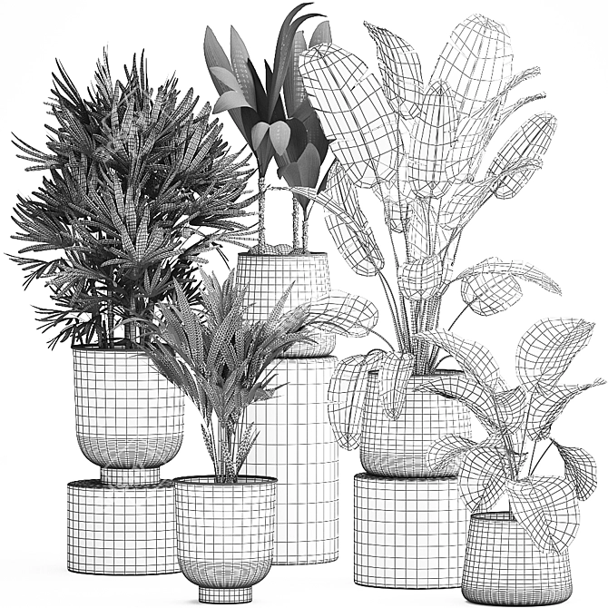 Exotic Plant Collection: Metal Pots & Decorative Vases 3D model image 6