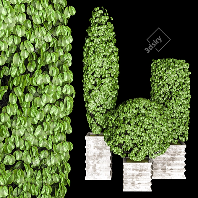 Outdoor Greenery Collection 3D model image 1