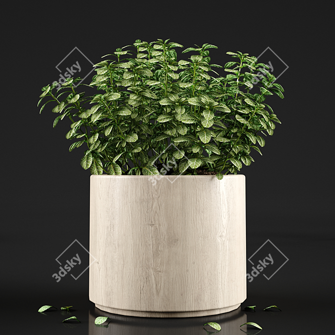 Modern Plant Decor: 22.89cm x 22.11cm x 24.49cm 3D model image 2