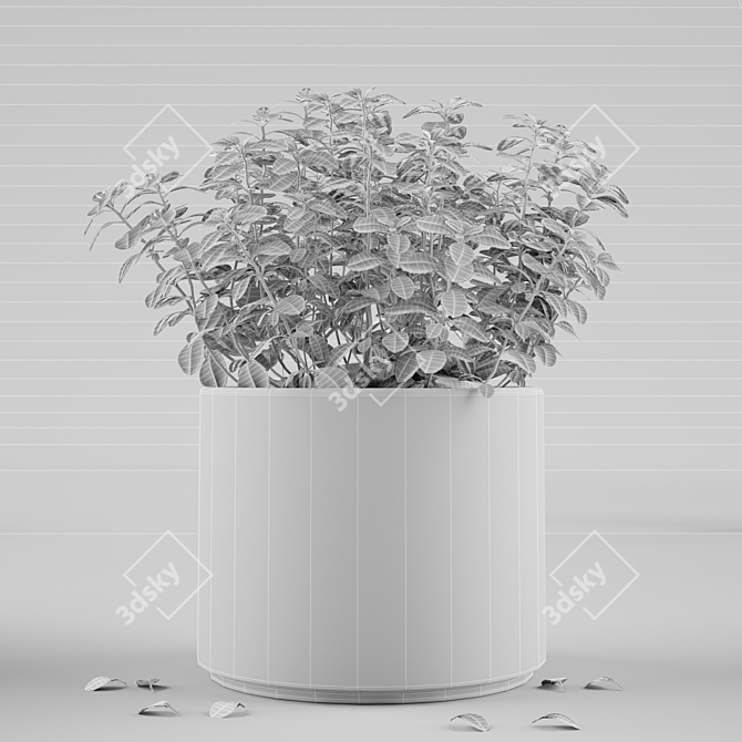 Modern Plant Decor: 22.89cm x 22.11cm x 24.49cm 3D model image 3